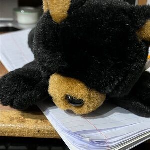 Cute Black and Tan Plush Bear